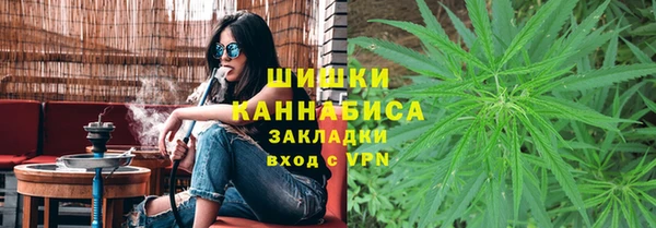 прущая мука Каменка