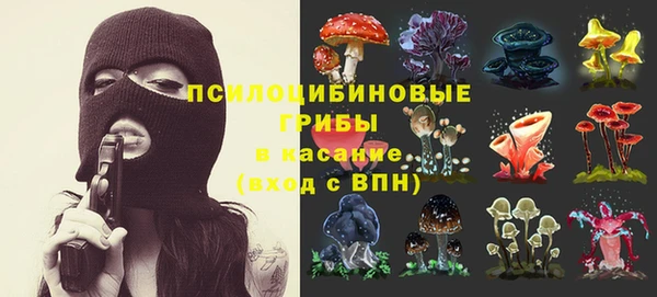 прущая мука Каменка