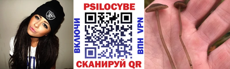 Псилоцибиновые грибы прущие грибы  Купить где  Бузулук 
